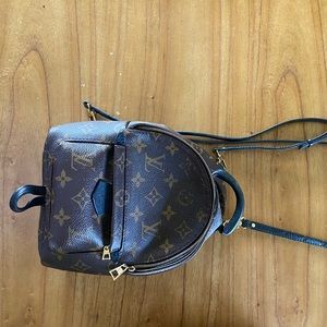 Louis Vuitton Palm Springs Mini Monogram